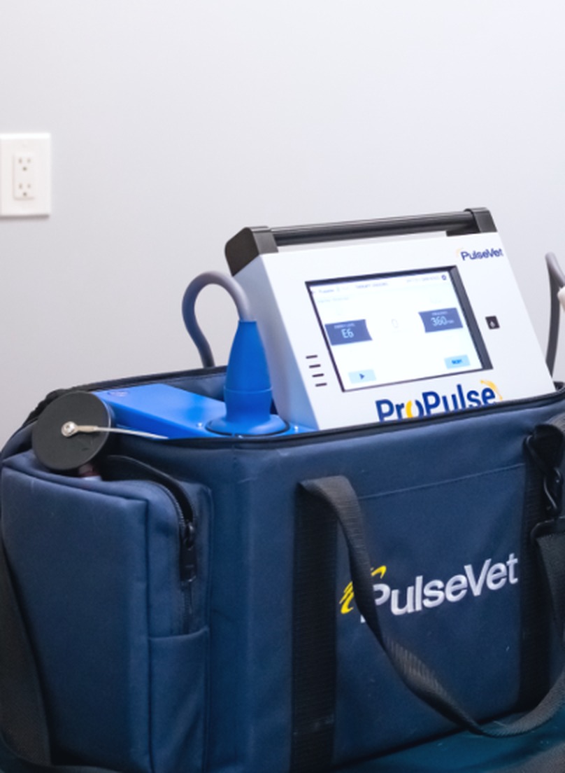 The PulseVet ProPulse shock wave therapy unit used at Veterinary Urgent Care in Madison Heights, MI